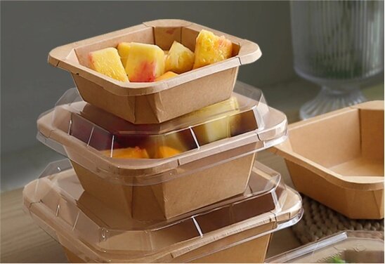 About Us Our Company 01