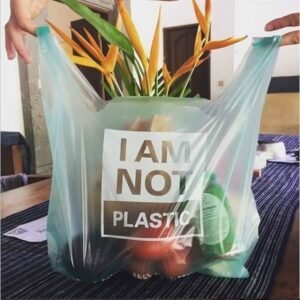 Biodegradable Carry Bags