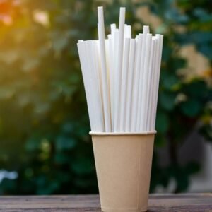 Paper Straws
