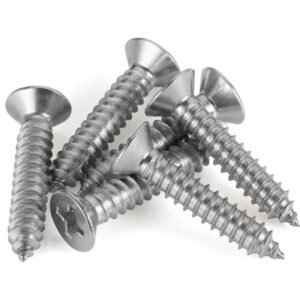 SS Screws