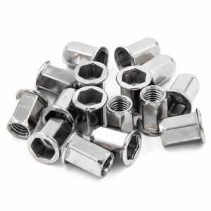 Stainless Steel Nuts